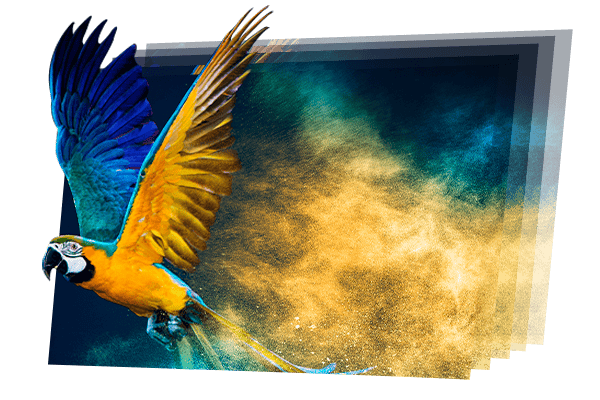 5 Fine pitch led screen XP series is low brightness high grayscale and high refresh rate.png