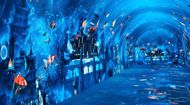 Application of immersive led tunnel-commercial entertainment.webp
